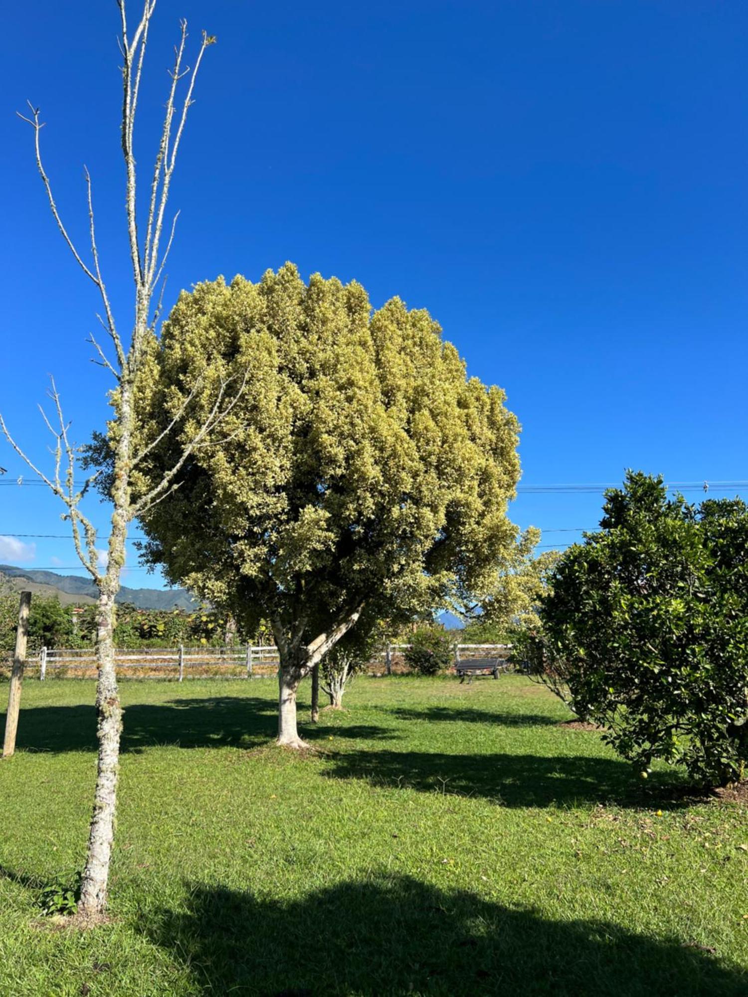 Finca Hotel Paraiso Urrao ภายนอก รูปภาพ