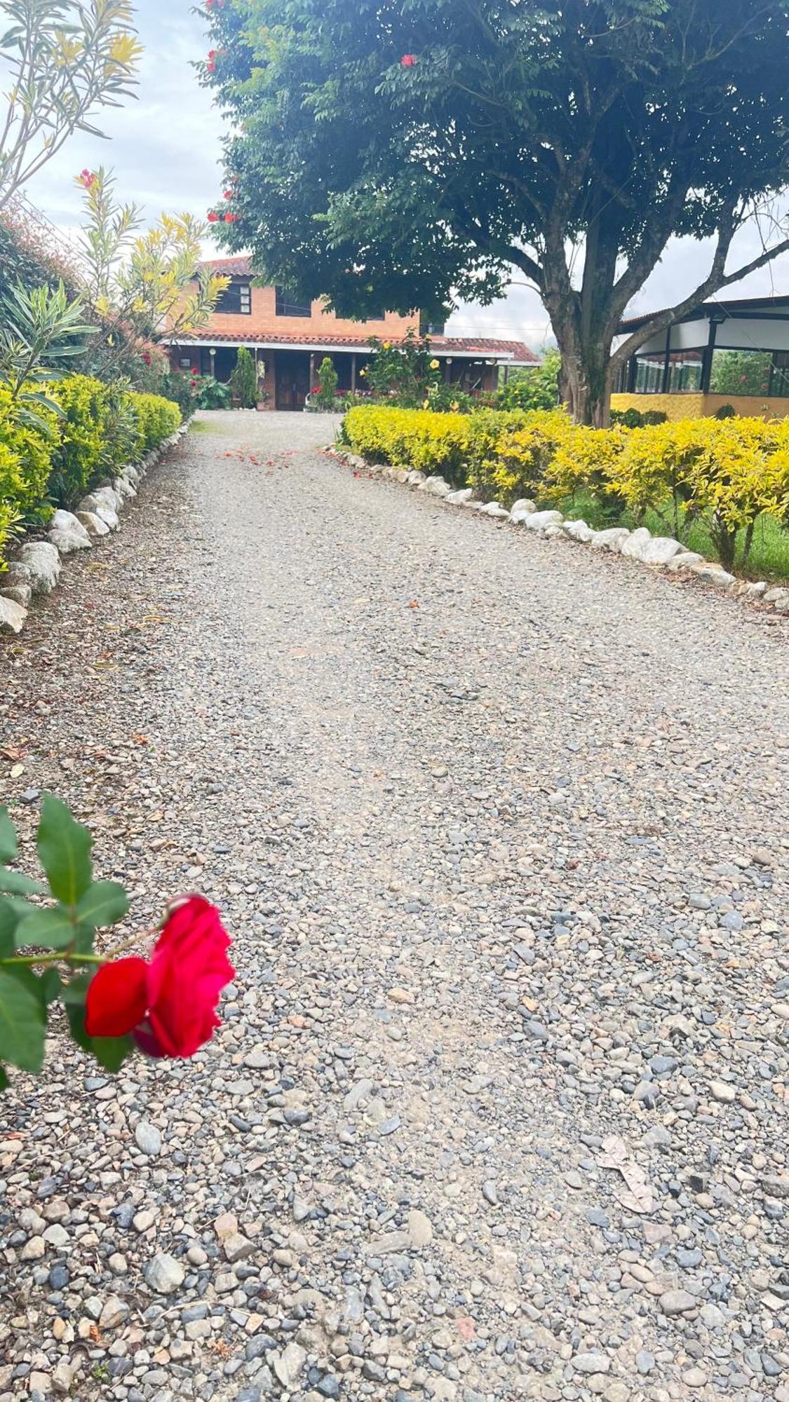 Finca Hotel Paraiso Urrao ภายนอก รูปภาพ