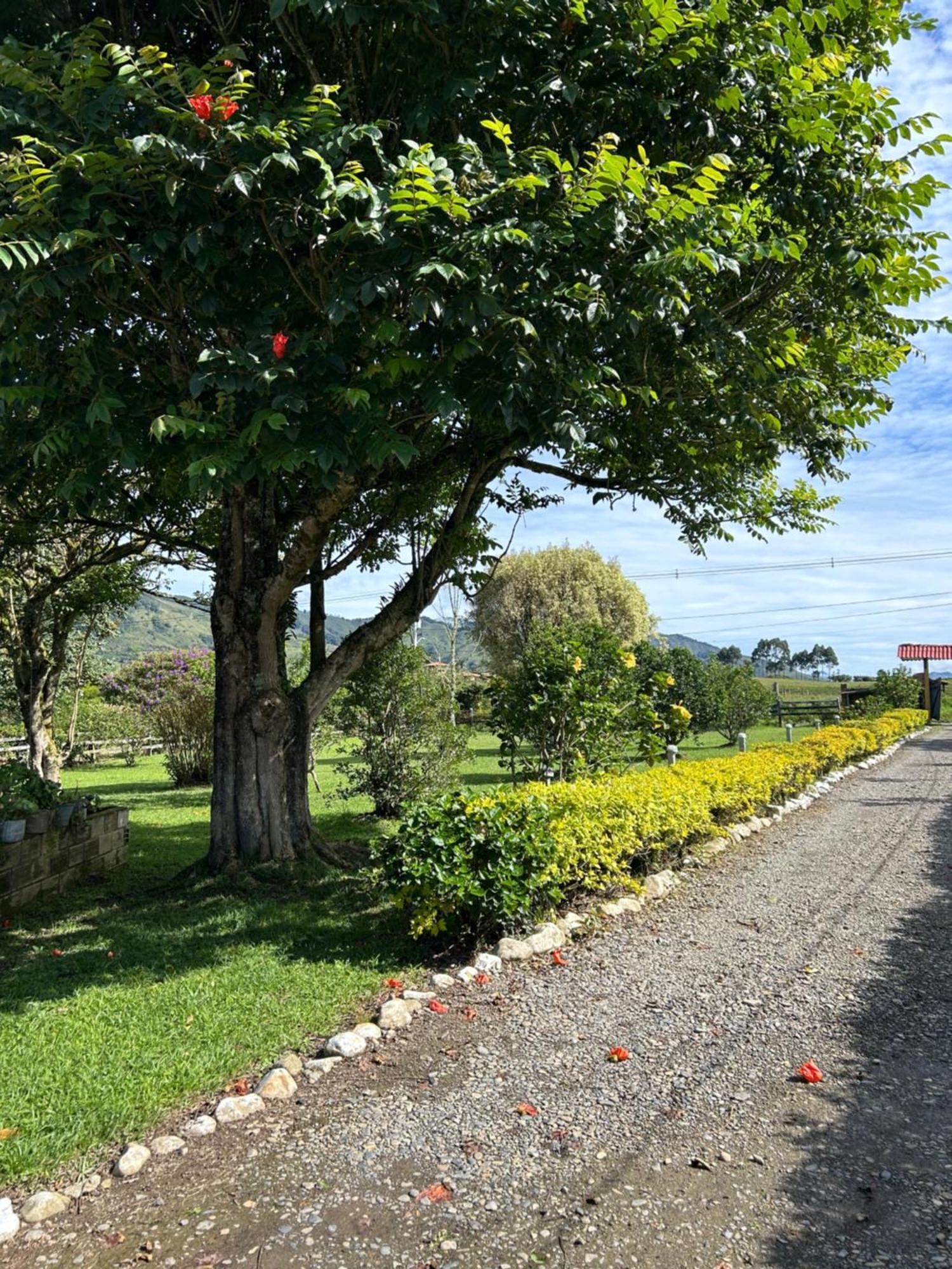 Finca Hotel Paraiso Urrao ภายนอก รูปภาพ